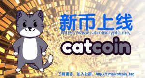 CatCoin(CATS)—— 引領了一種具有極強病毒傳播性的meme潮流並迅猛發展-区块读刊