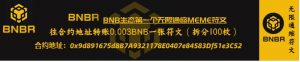 BNB生态首个无限通缩符文Token打新项目【BNBR】,低费用MINT,内涵详细教程,值得撸!-区块读刊